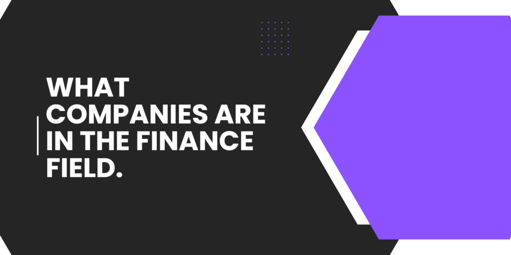 what companies are in the finance field.